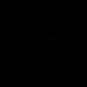 Meet your Posher, Drea